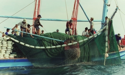 Vietnamese Communist Party requests to implement the goal of removing the IUU 'yellow card' in 2024